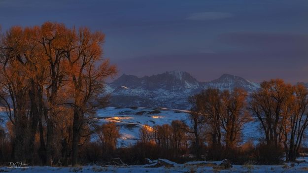 Morning Light. Photo by Dave Bell.