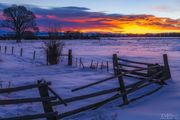 Colorful Fence Corner. Photo by Dave Bell.