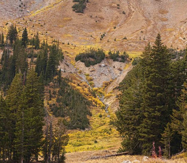 Fall Foliage Color. Photo by Dave Bell.