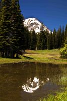 McDougal North Summit Tarn Reflection. Photo by Dave Bell.