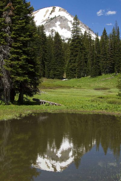 Pond Reflection. Photo by Dave Bell.