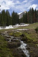 Snowmelt Spring Stream. Photo by Dave Bell.