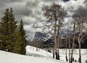 Square Top And Aspens. Photo by Dave Bell.