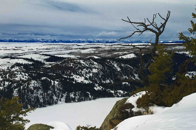 SnaggleView. Photo by Dave Bell.