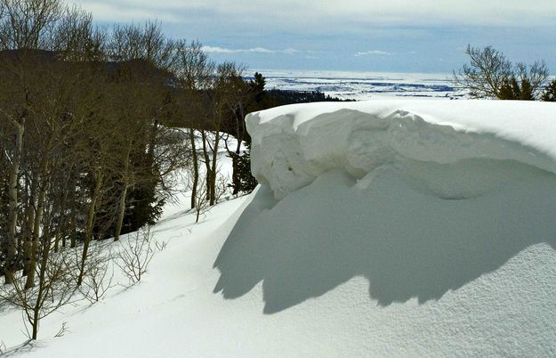 Big Shadow. Photo by Dave Bell.