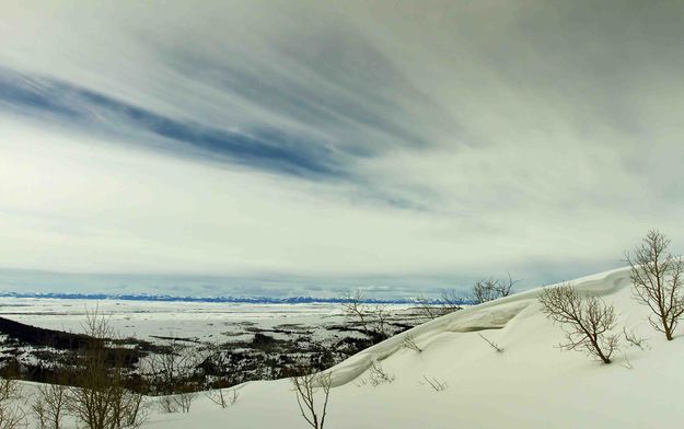 Magnificent Vista. Photo by Dave Bell.