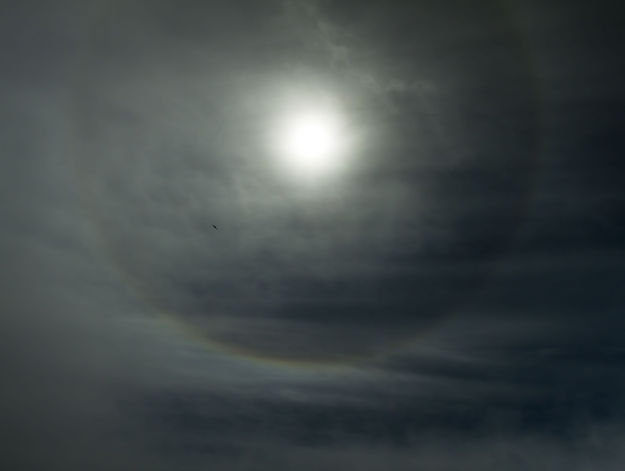 Sundog . Photo by Dave Bell.