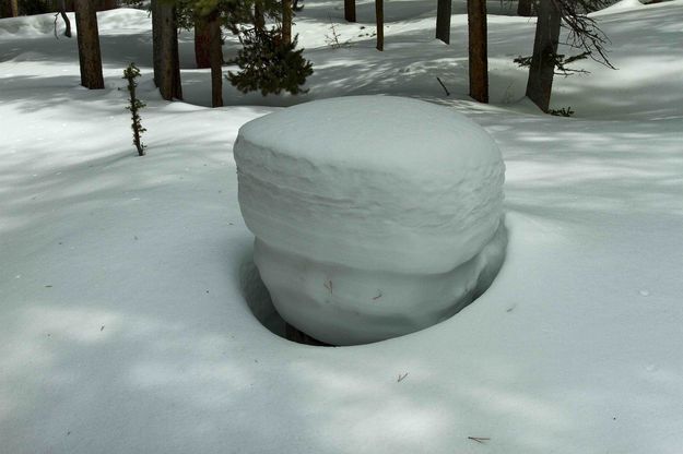 Picnic Table. Photo by Dave Bell.