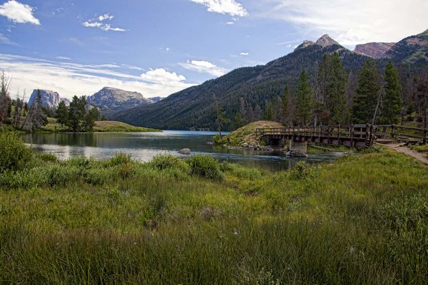 Footbridge. Photo by Dave Bell.