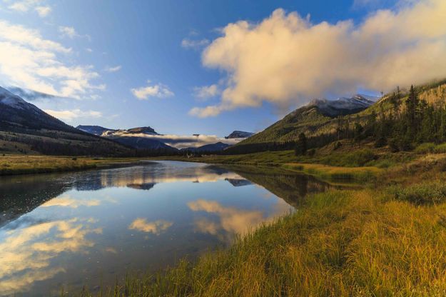 Splendid Morning. Photo by Dave Bell.