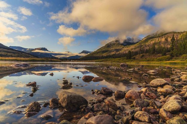 Pond View. Photo by Dave Bell.