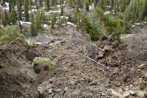 Above Rock Pile--Looking Down. Photo by Dave Bell.