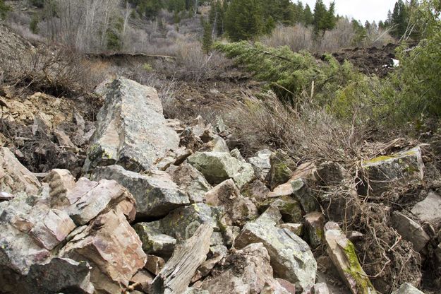 Jumble Of Sandstone, Mud, Trees And Bushes. Photo by Dave Bell.