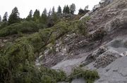 Bedrock, Rock Netting And Jumbled Trees. Photo by Dave Bell.