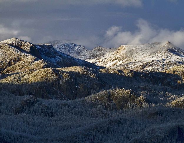 Snowy High Country. Photo by Dave Bell.