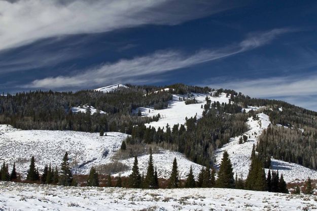 Cottonwood Scenery. Photo by Dave Bell.