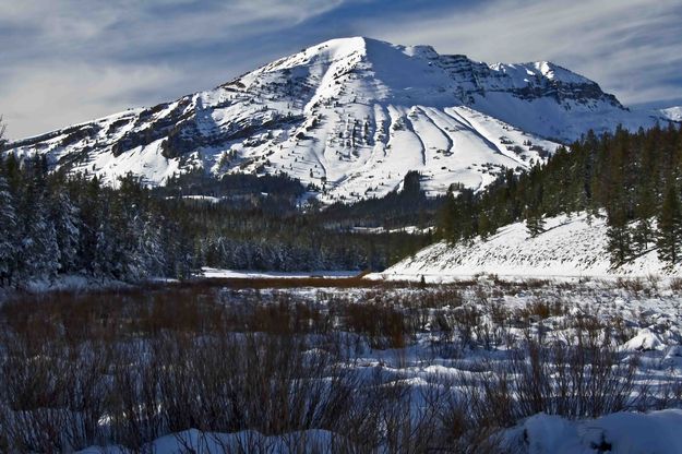 North Cottonwood Creek. Photo by Dave Bell.