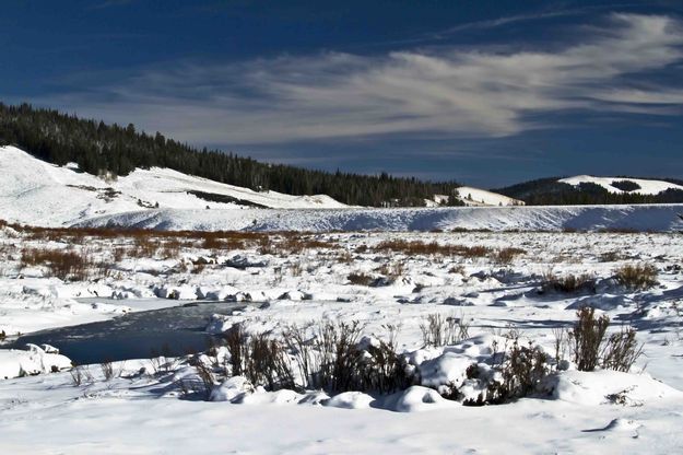 Snowy Creek Bottom. Photo by Dave Bell.