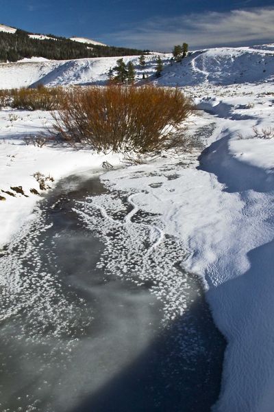 Frozen Stream. Photo by Dave Bell.