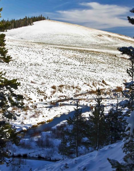 North Cottonwood. Photo by Dave Bell.