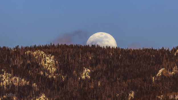 White Orb. Photo by Dave Bell.