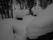 Early Season Snow is Abundant/Black-White Format. Photo by Dave Bell.