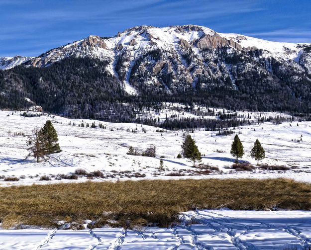 Osborne Mountain. Photo by Dave Bell.