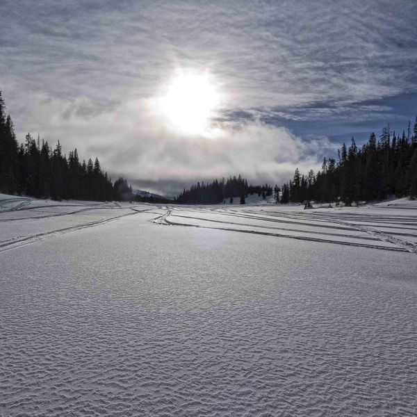 Approaching Fog Bank. Photo by Dave Bell.