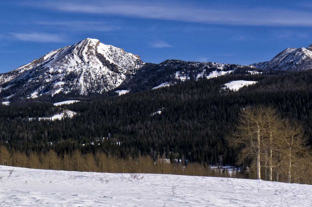 Winter Scenery. Photo by Dave Bell.