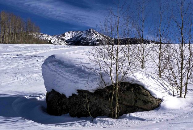 Snowy Rock. Photo by Dave Bell.