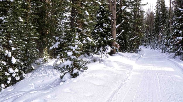 Moose Gyp Trail. Photo by Dave Bell.