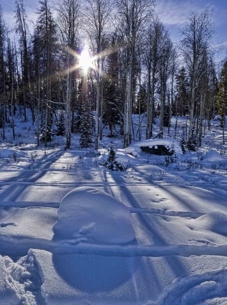 Winter Light. Photo by Dave Bell.