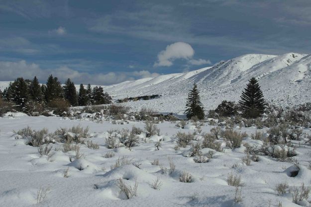 Scenery At Buckskin Crossing. Photo by Dave Bell.