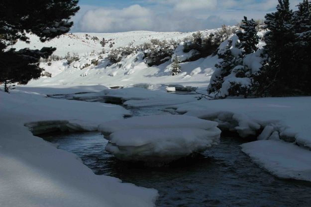 Remnants Of Colder Days. Photo by Dave Bell.