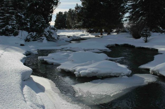 Open River. Photo by Dave Bell.