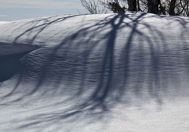 Bending The Shadow. Photo by Dave Bell.