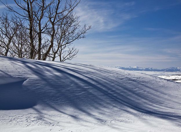 Great View. Photo by Dave Bell.