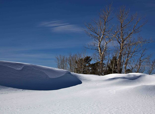 Untracked. Photo by Dave Bell.