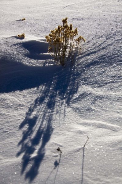 Shadows. Photo by Dave Bell.