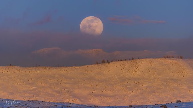 Full Moon and Half Moon. Photo by Dave Bell.