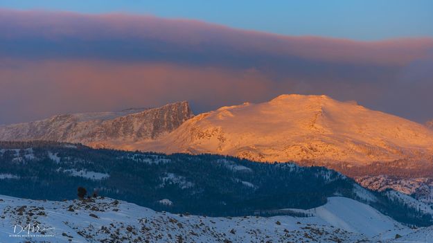 Golden Mt. Baldy. Photo by Dave Bell.