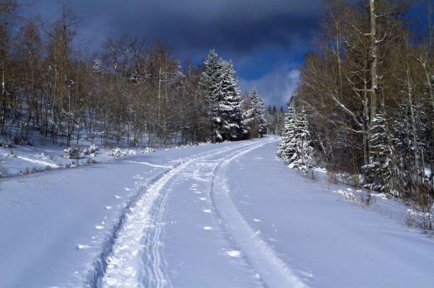 Skyline Drive. Photo by Dave Bell.