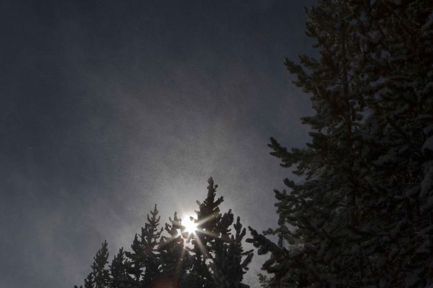 Blowing Snow. Photo by Dave Bell.