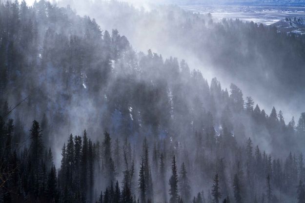 Blowing Snow. Photo by Dave Bell.