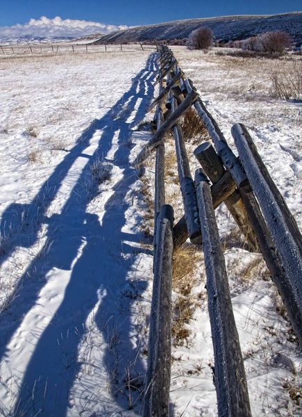 Frosty Rails. Photo by Dave Bell.