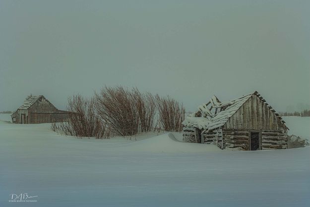 Winter...Finally!. Photo by Dave Bell.