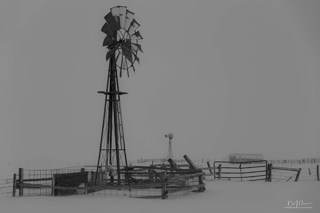 Black And White Morning. Photo by Dave Bell.