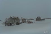 Snowing-Cold-Windy=Beautiful Day. Photo by Dave Bell.