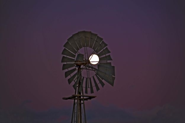 Windmill Moon. Photo by Dave Bell.