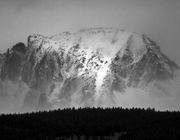 Fremont Black and White. Photo by Dave Bell.